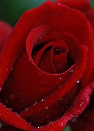 Если вы любите, а вас нет — отпустите. Если вас любят, а вы нет — оцените и присмотритесь. Если ... - 6