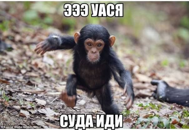    :-) - 21  2015  00:20