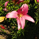 ���� �����, �������, 59 ��� - ��������� 3 ����� 2016 � ������ ���� ����������