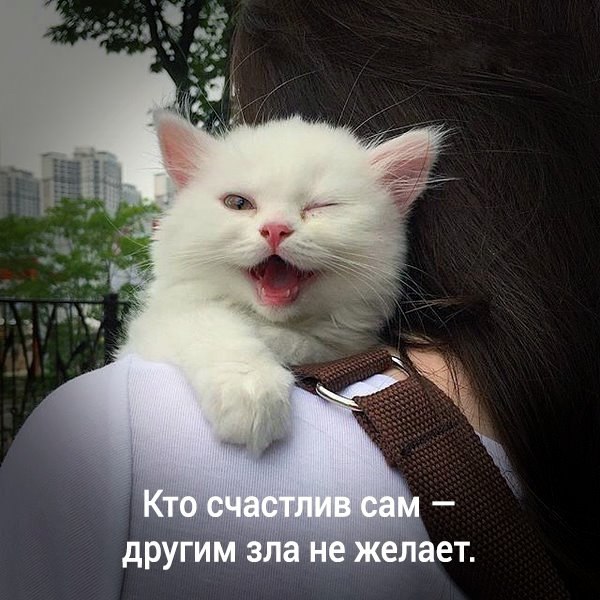       - 1  2015  18:03