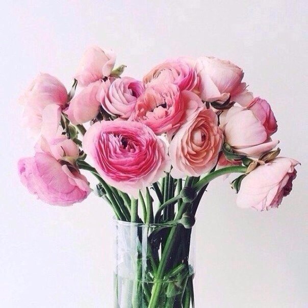    - 22  2015  03:03 - 6