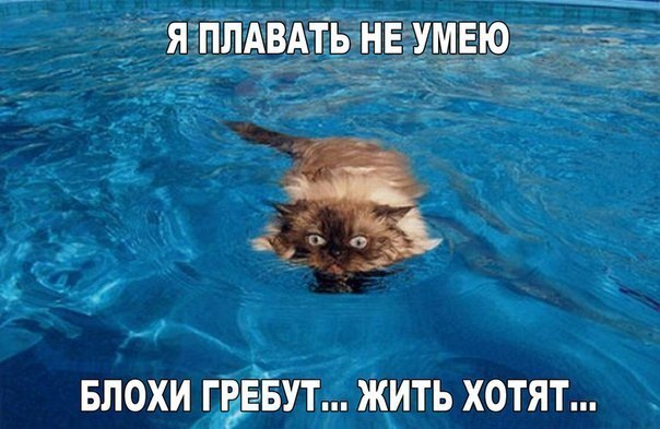    :D - 15  2015  21:37