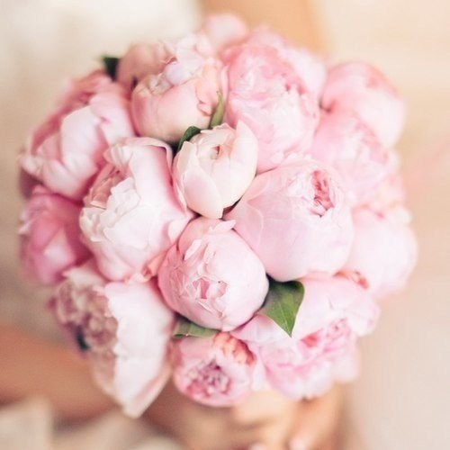 - ,  ,   ! -   ,  ,   . - !  ... - 3