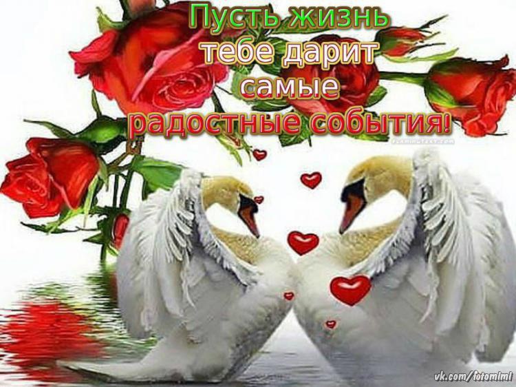 https://fotostrana.ru/away?to=/sl/Wbf1