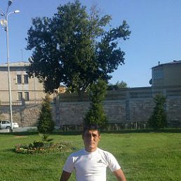 ���� ������, �������, 43 ���� - ��������� 10 ������� 2016