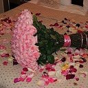 ���� �����, ������ - ��������� 4 ������ 2016 � ������ ���� ����������