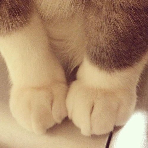   ,     .#@https://fotostrana.ru/away?to=/sl/XE2 - 5