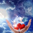 ���� ������, ���, 50 ��� - ��������� 29 ������� 2016 � ������ ������ ��������