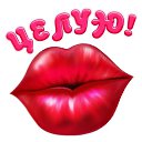 ���� ����, �������, 62 ���� - ��������� 31 ������� 2015 � ������ �������� ��������