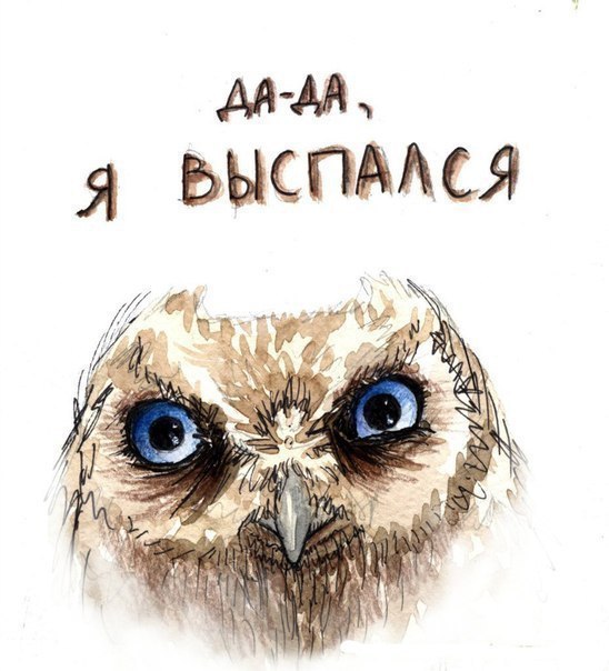    - 8