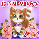 ���� �����gold, ������ - ��������� 8 ����� 2016 � ������ �������� ��������