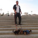 ���� ���������, �����-���������, 34 ���� - ��������� 10 ������ 2016 � ������ ���� ����������