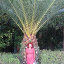 ���� �����, ������������ - ��������� 7 ������� 2016 � ������ ��������.�