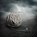  Wlad, , 51  -  29  2016    