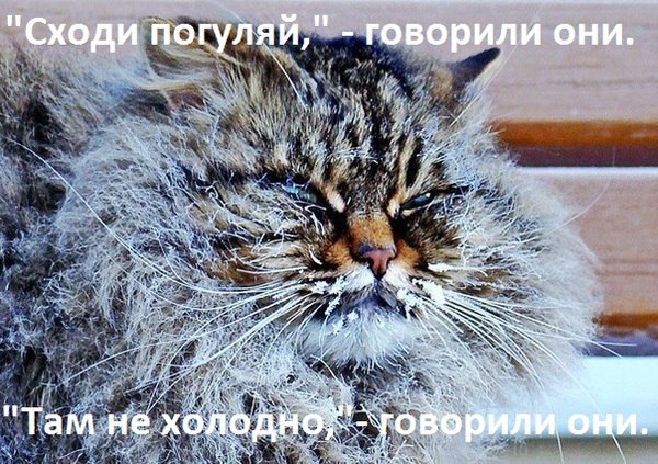  - 5  2016  16:15