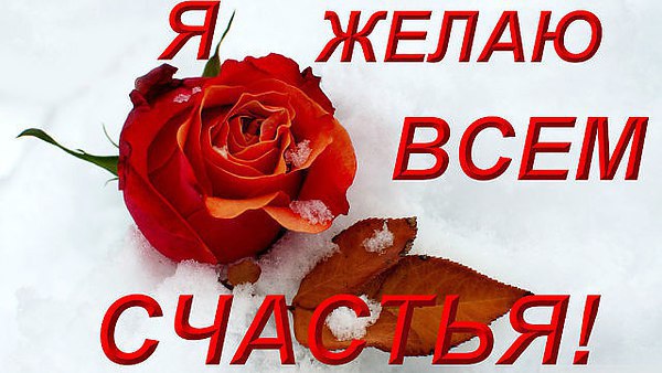    - 3  2016  19:16