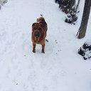 ���� �����, ��������, 51 ��� - ��������� 30 ������ 2016 � ������ �����