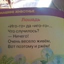  , -, 58  -  25  2015    