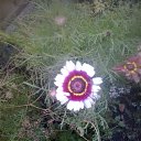 ���� �����, ������ - ��������� 1 ����� 2016 � ������ ���� ����������