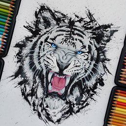Tred, ������, 30 ���