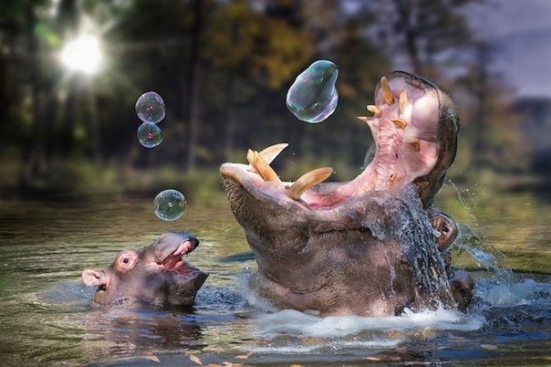        (John Wilhelm) - 3