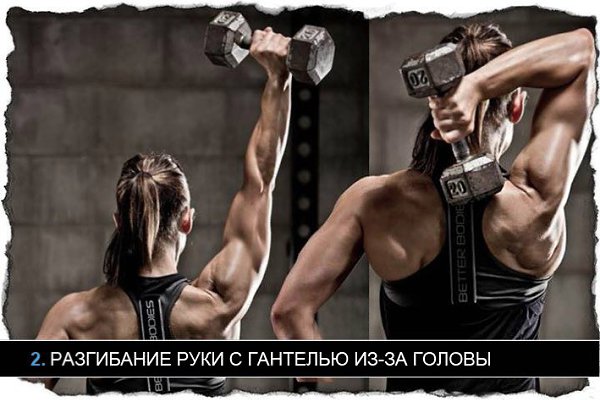 3 Разгибания рук на блоке.Разгибания рук на блоке - упражнение, которое целенаправленно ...