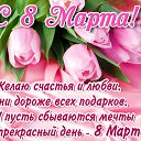 ���� �����, �����������, 42 ���� - ��������� 8 ����� 2016 � ������ ������ ��������