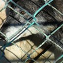 ���� ����������, ���������, 44 ���� - ��������� 6 ������� 2015 � ������ ���� ����������