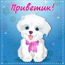 ���� ������, ������, 67 ��� - ��������� 14 ������ 2016 � ������ �������� ��������