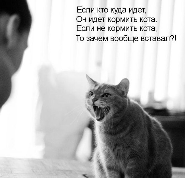       - 3  2015  17:07