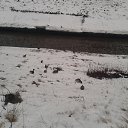 ���� ��� ������, �����-���������, 32 ���� - ��������� 13 ������� 2016 � ������ �����
