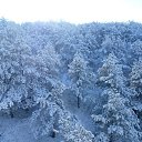  , - -  8  2015     2012