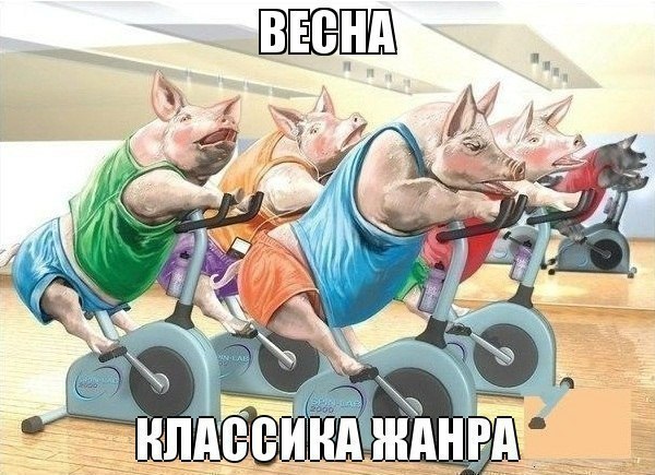   - 29  2016  16:46