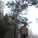  ,  -  2  2015    