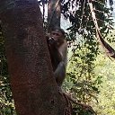 ���� �����, �����-��������� - ��������� 28 ������� 2016 � ������ ������ ��������