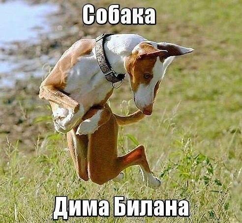    - 19  2015  13:13