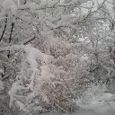 ���� ������, �����������, 53 ���� - ��������� 12 ������� 2016 � ������ ����� ����...�