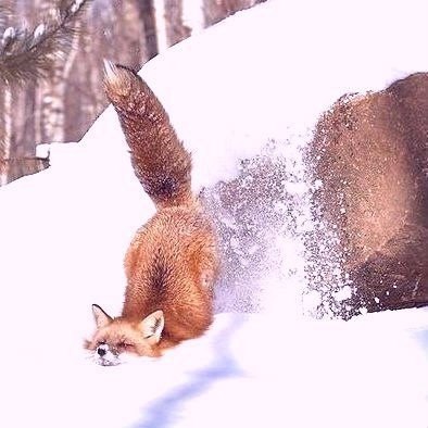 Art & Fun - 19  2016  04:37 - 5