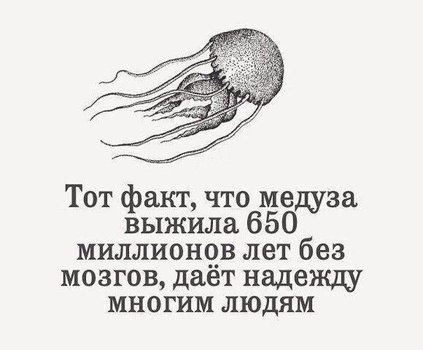 ���������� ����� https://fotostrana.ru/away?to=/sl/NAD2