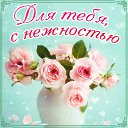 ���� �����, ���������, 62 ���� - ��������� 27 ������� 2016 � ������ �������� ��������