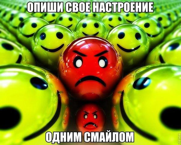 -   - 13  2016  19:35