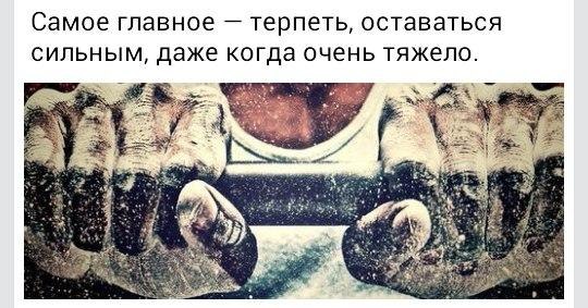    ! - 3  2016  12:03