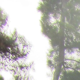 ����, ���������, 70 ���