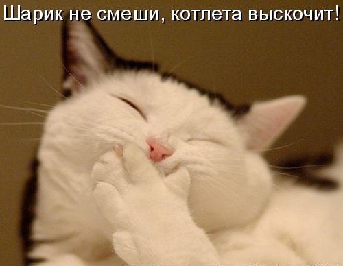       - 4  2015  19:34