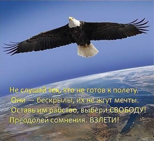  - 8  2015  18:06