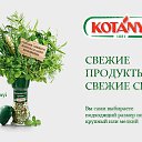 ���� �������, ������, 76 ��� - ��������� 20 ������� 2015 � ������ ������ ��������