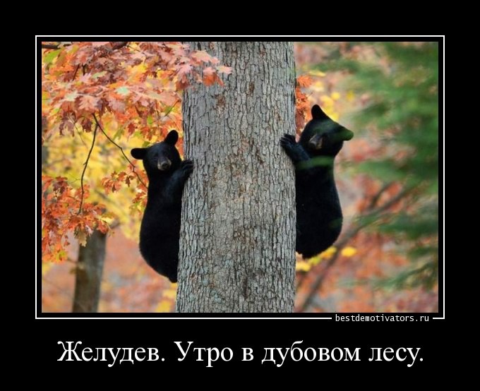 ***Victoria Viktorovna*** - 1  2016  07:11