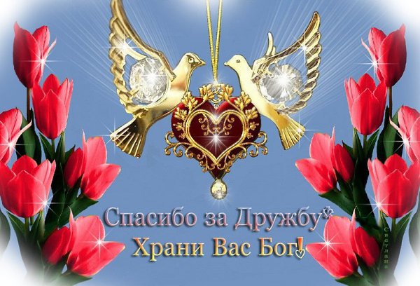 Дорогие мои друзья!!!Огромнейшее СПАСИБО вам всем за поздравления!!!Мне очень,очень приятно!!! ... - 2