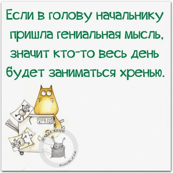   - 25  2016  01:46