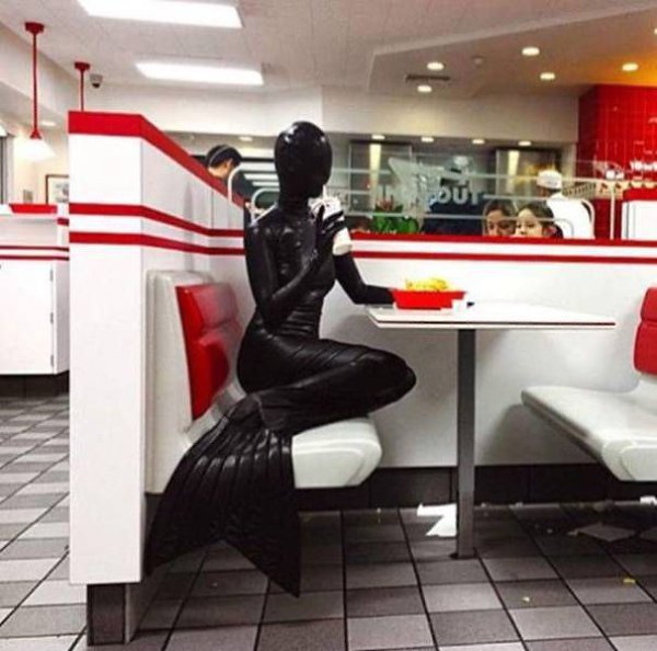  - 08.01.2016))) - 23